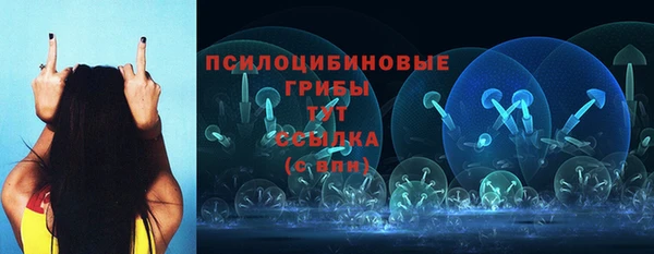 спиды Абинск