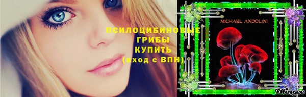 гидра Абаза