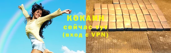 гидра Абаза