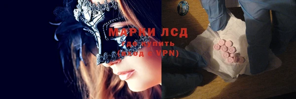 PSILOCYBIN Алзамай