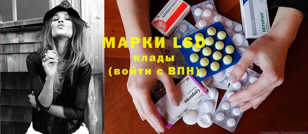 PSILOCYBIN Алзамай