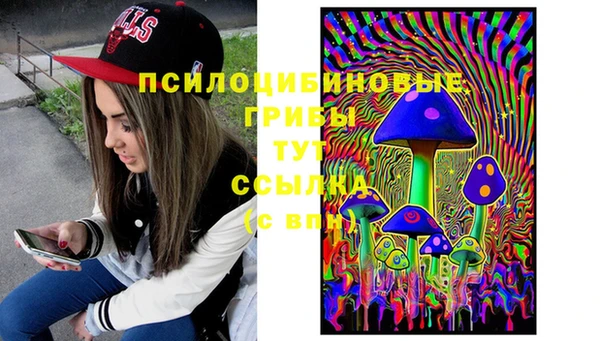 гидропоника Новокубанск